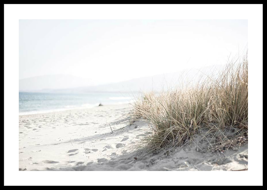 Photograph of beach rye and sandy beach in soft light tones-12