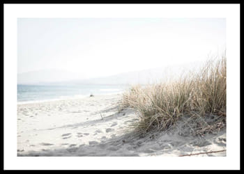 Plakatas Marram Grass At Beach