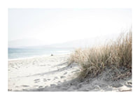Photograph of beach rye and sandy beach in soft light tones-1