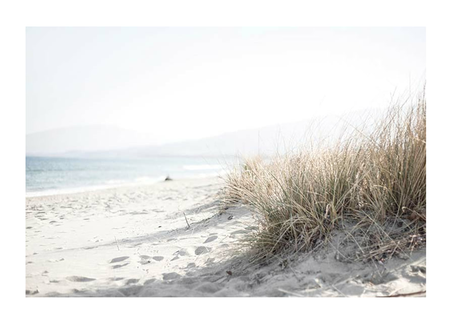 Photograph of beach rye and sandy beach in soft light tones-12
