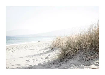 Poster Marram Grass At Beach