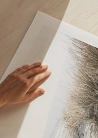 Photograph of beach rye and sandy beach in soft light tones-9