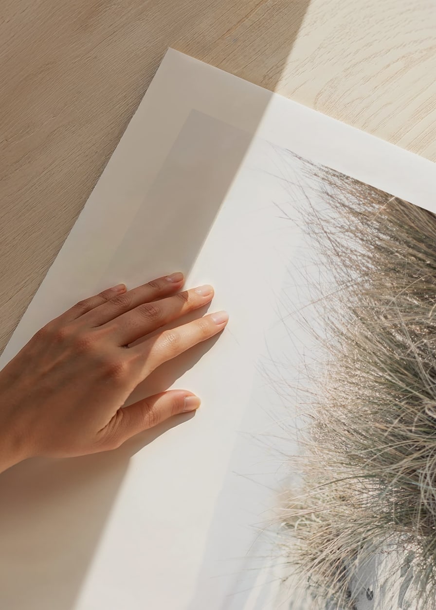 Photograph of beach rye and sandy beach in soft light tones-12