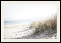 Photograph of beach rye and sandy beach in soft light tones-2