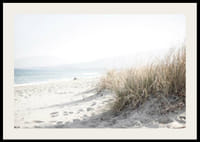 Fénykép rozsos strandról és homokos strandról lágy, világos tónusokban-2