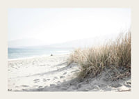 Photograph of beach rye and sandy beach in soft light tones-3