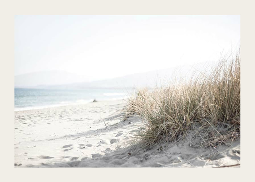 Photograph of beach rye and sandy beach in soft light tones-12