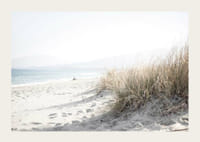 Fénykép rozsos strandról és homokos strandról lágy, világos tónusokban-3