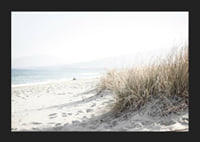 Photograph of beach rye and sandy beach in soft light tones-5