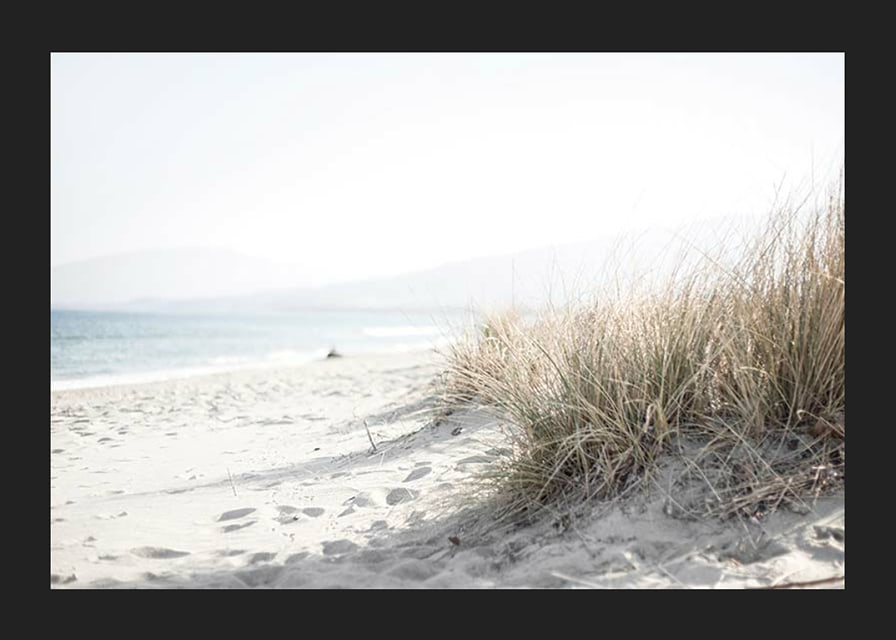 Photograph of beach rye and sandy beach in soft light tones-12