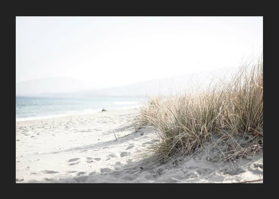 Fénykép rozsos strandról és homokos strandról lágy, világos tónusokban-12