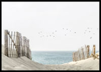 Birds At Cape Cod-2