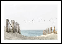 Birds At Cape Cod-0