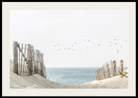 Photograph of sand dunes, wooden fences and birds by the sea-2