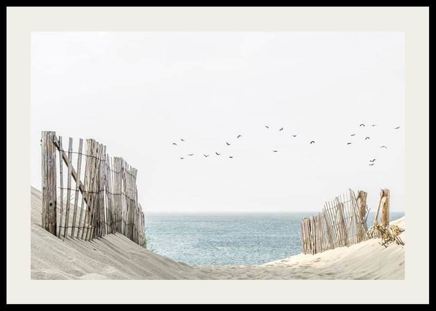 Photograph of sand dunes, wooden fences and birds by the sea-12