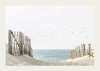 Photograph of sand dunes, wooden fences and birds by the sea-3