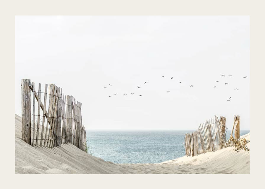 Photograph of sand dunes, wooden fences and birds by the sea-12