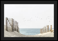 Photograph of sand dunes, wooden fences and birds by the sea-4