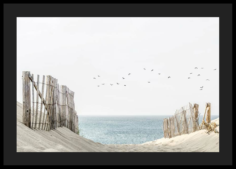 Photograph of sand dunes, wooden fences and birds by the sea-12
