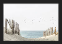 Photograph of sand dunes, wooden fences and birds by the sea-5