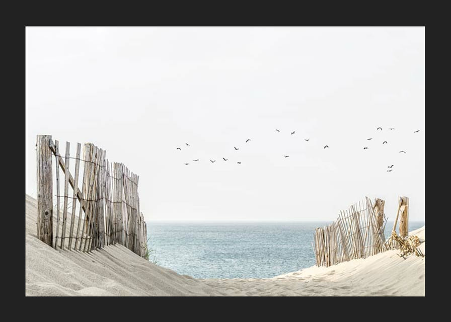 Photograph of sand dunes, wooden fences and birds by the sea-12