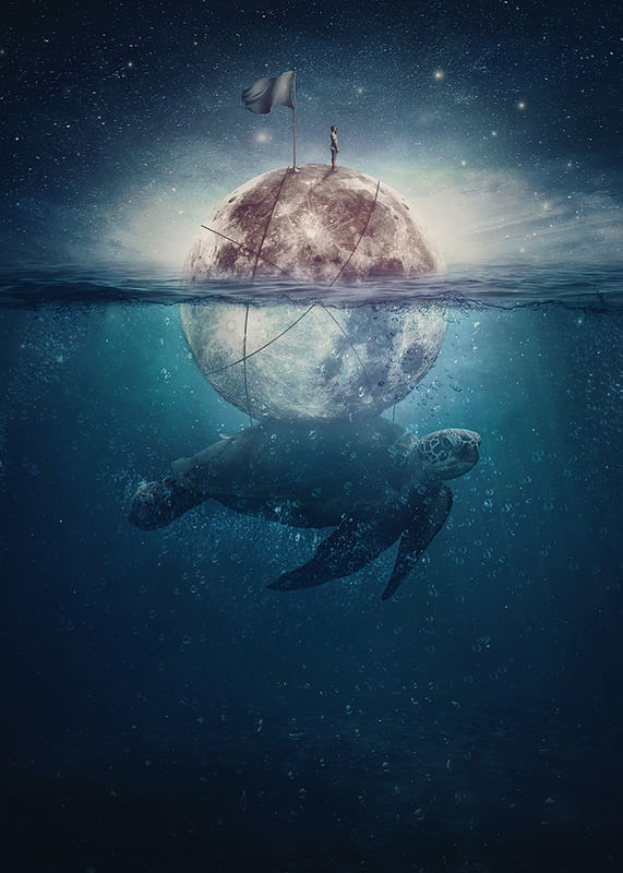 Turtle Moon-12