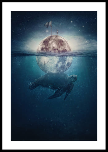 Poster Turtle Moon
