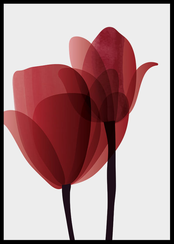 Red Tulips No1-12