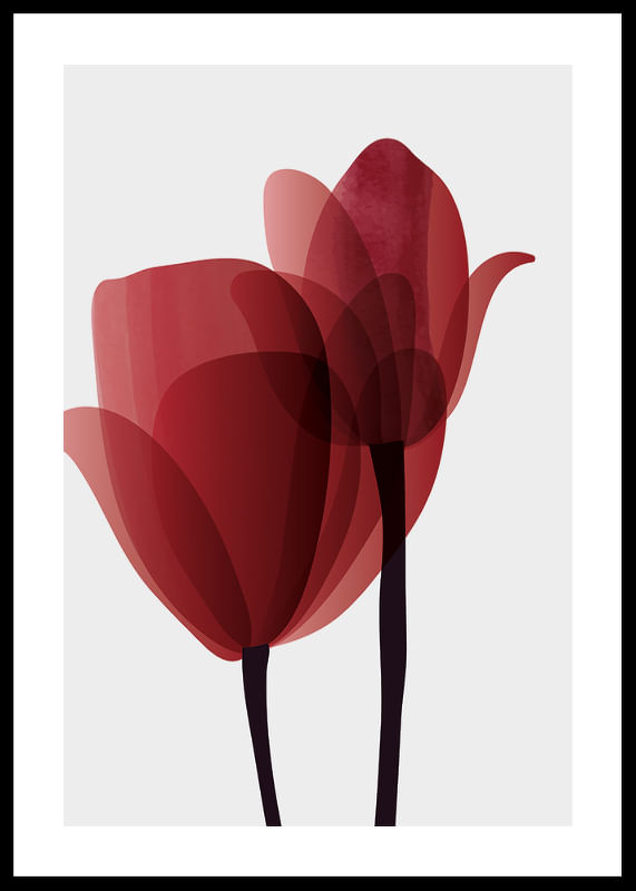 Red Tulips No1-12
