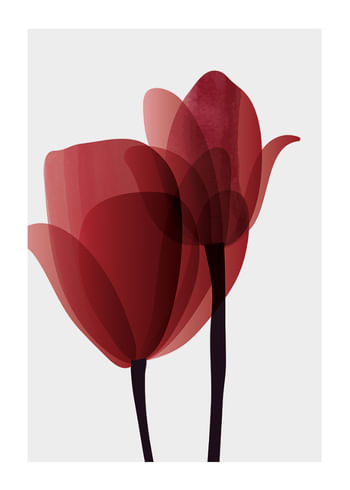 Plagát Red Tulips No1
