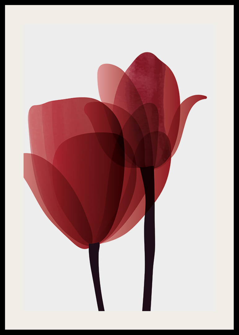 Illustrazione grafica di due tulipani rossi con steli neri-12