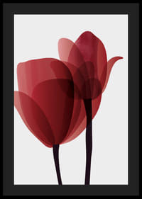 Illustrazione grafica di due tulipani rossi con steli neri-4