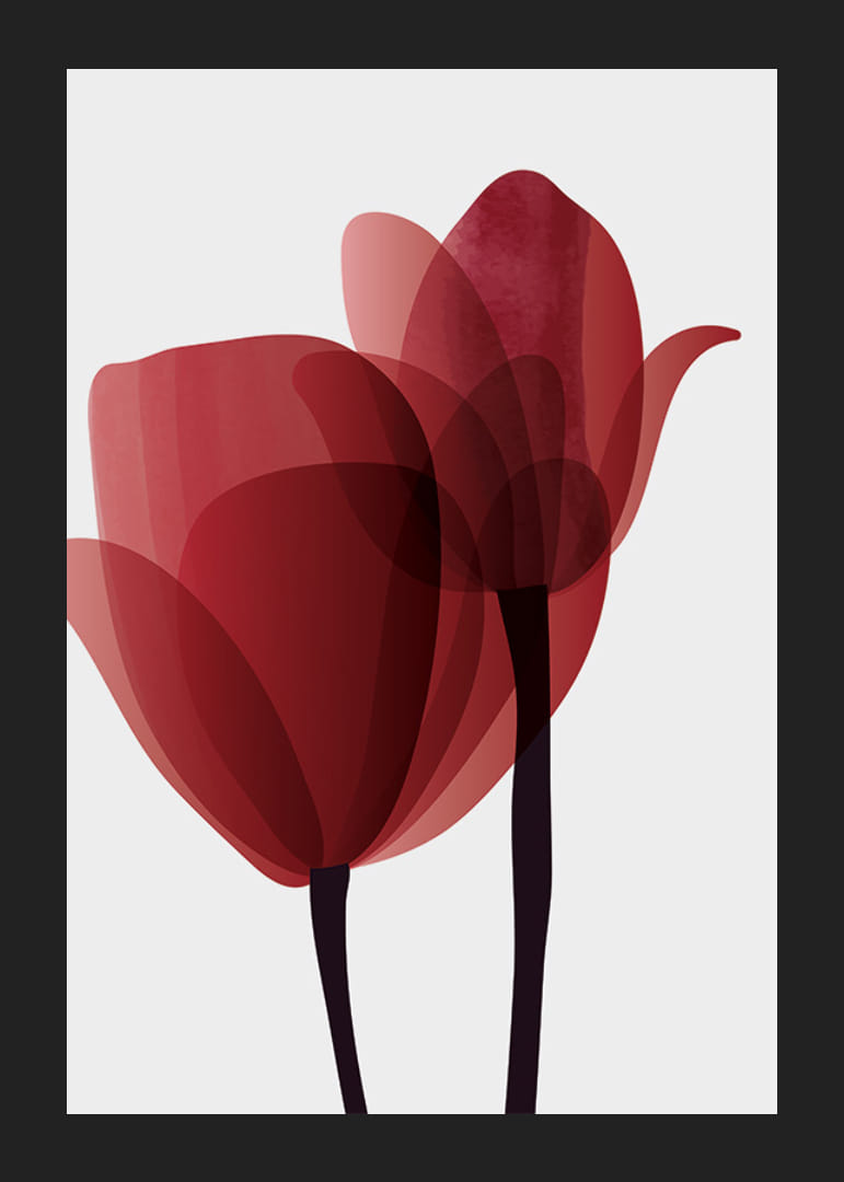 Illustrazione grafica di due tulipani rossi con steli neri-12