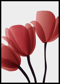 Red Tulips No2-2