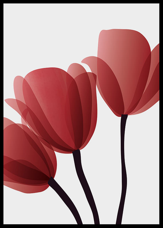 Red Tulips No2-12