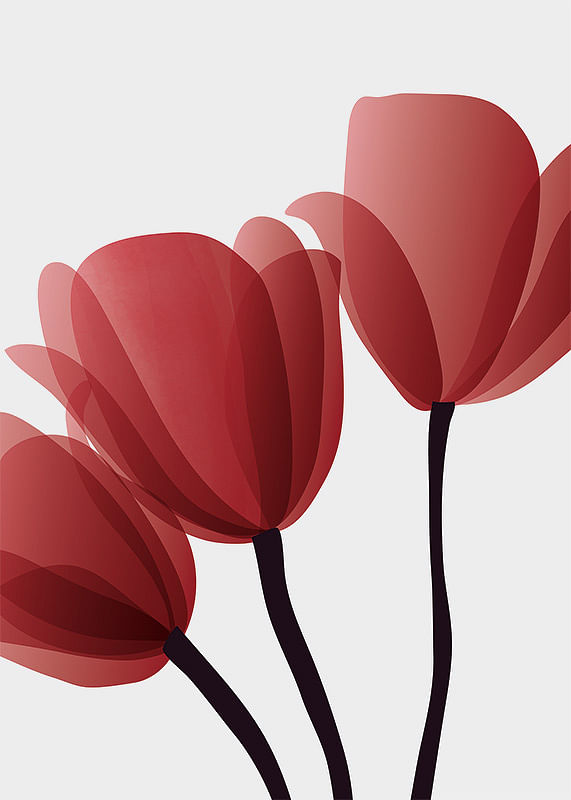 Red Tulips No2-12