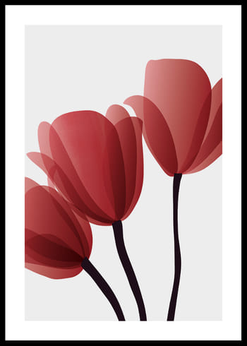 Poster Red Tulips No2