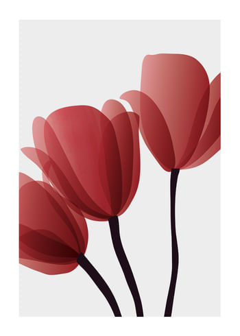Affiche Red Tulips No2
