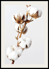 Prim-plan al bețișoarelor de bumbac pe un fundal minimalist, luminos-2