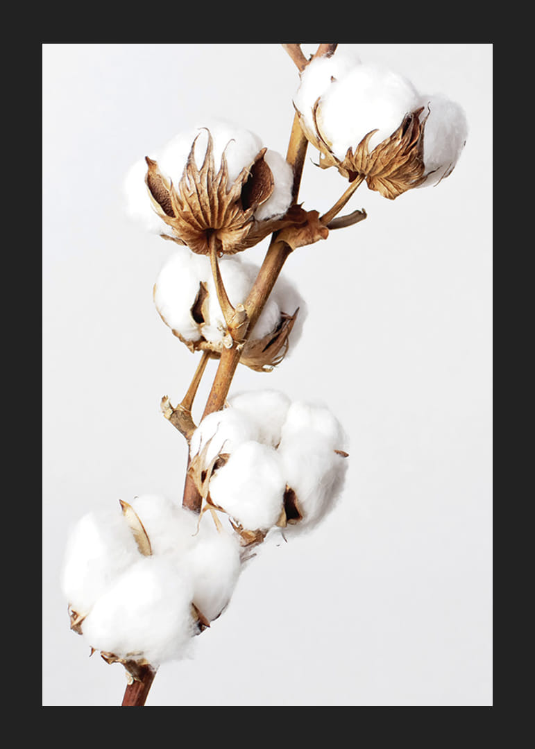 Prim-plan al bețișoarelor de bumbac pe un fundal minimalist, luminos-12