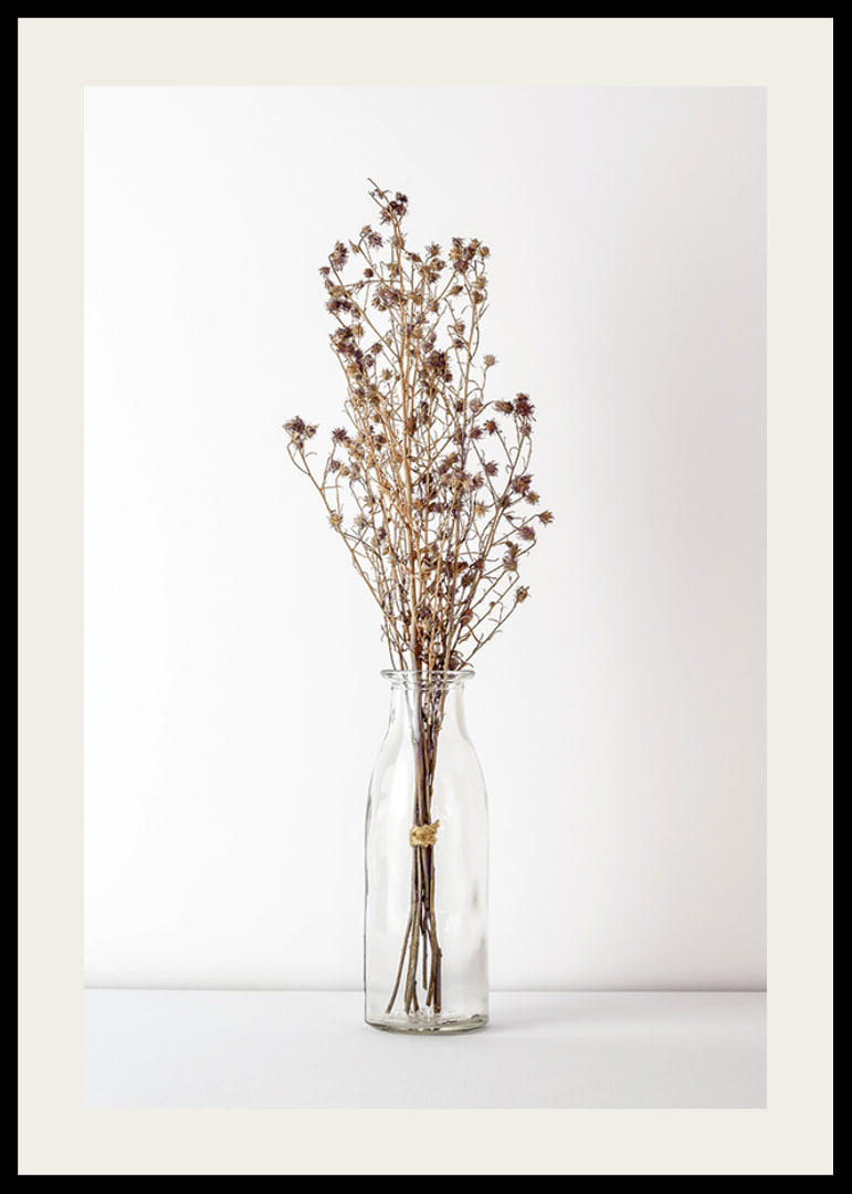 Photograph of dried flowers in glass vase against light background-12