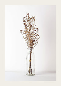 Photograph of dried flowers in glass vase against light background-3