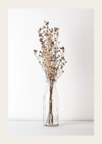 Fotografi av torkade blommor i glasvas mot ljus bakgrund-3