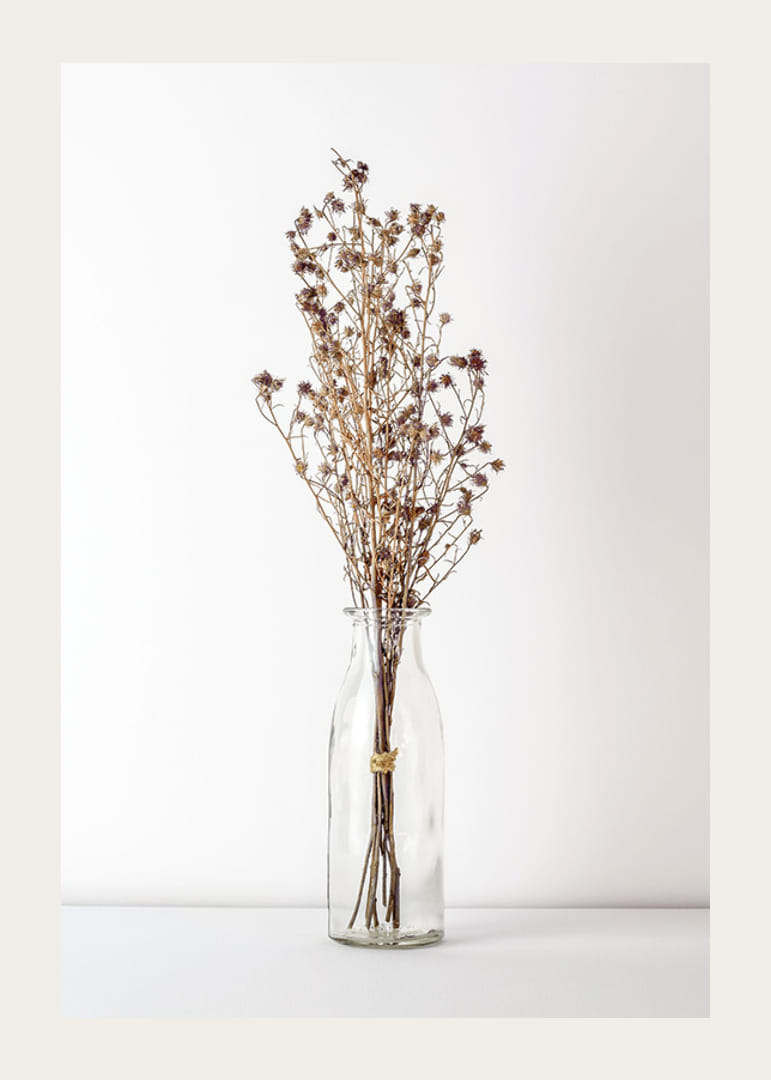 Fotografi av torkade blommor i glasvas mot ljus bakgrund-12