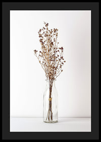 Photograph of dried flowers in glass vase against light background-4