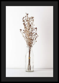 Fotografi av torkade blommor i glasvas mot ljus bakgrund-4