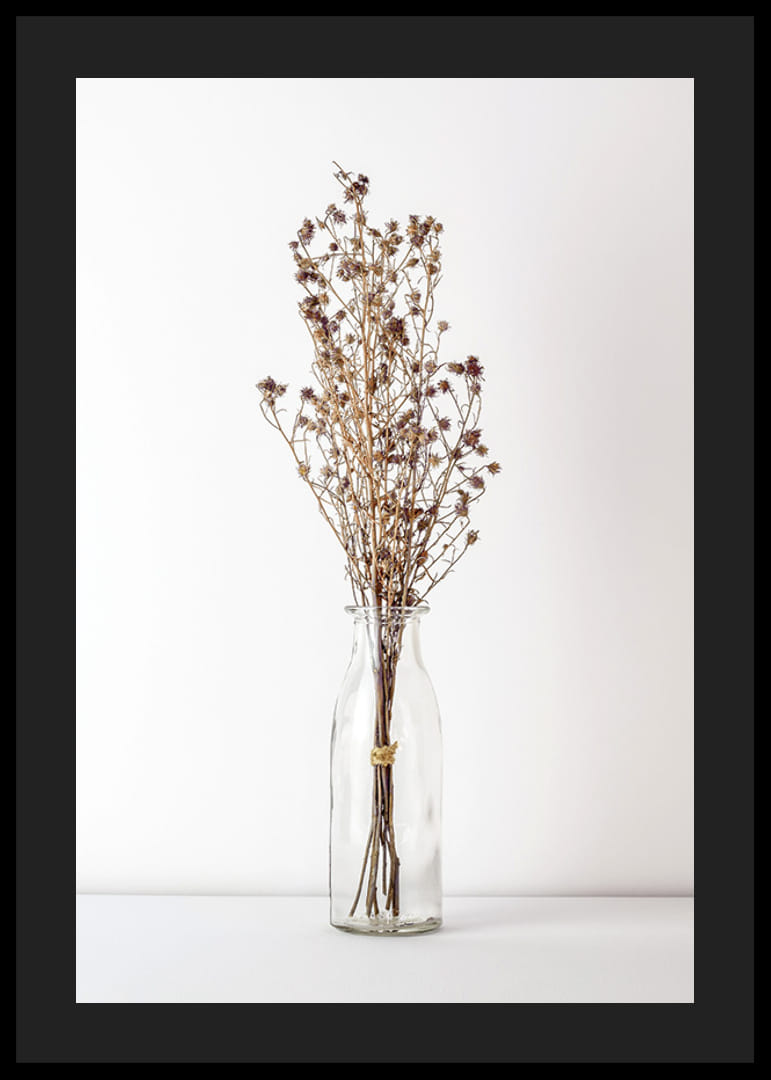 Fotografi av torkade blommor i glasvas mot ljus bakgrund-12