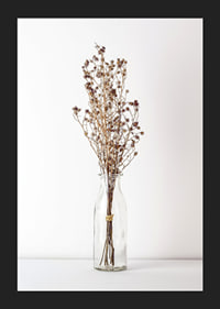 Photograph of dried flowers in glass vase against light background-5