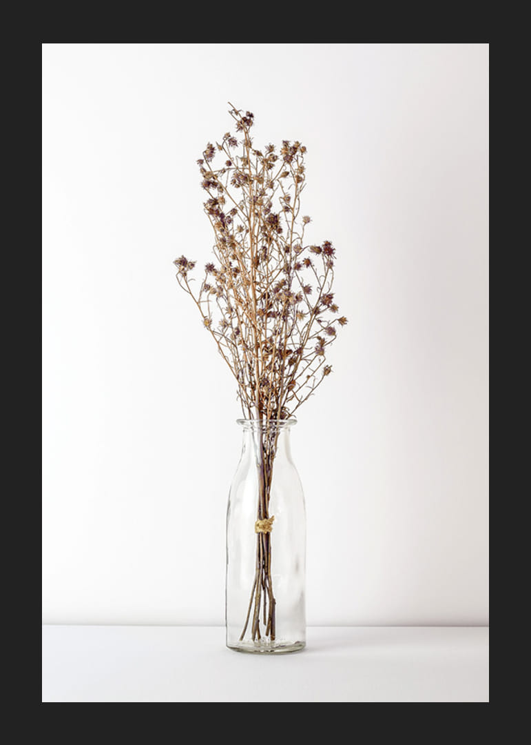 Fotografi av torkade blommor i glasvas mot ljus bakgrund-12