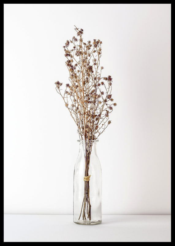 Photograph of dried flowers in glass vase against light background-12